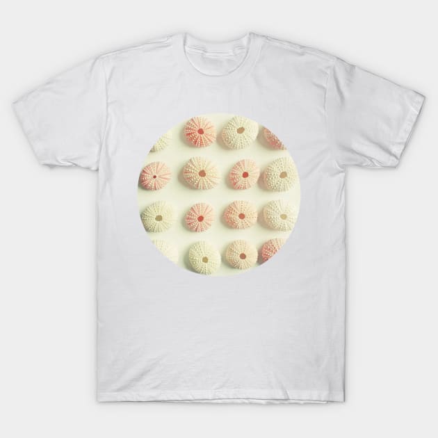 Sea Urchin Collection T-Shirt by Cassia